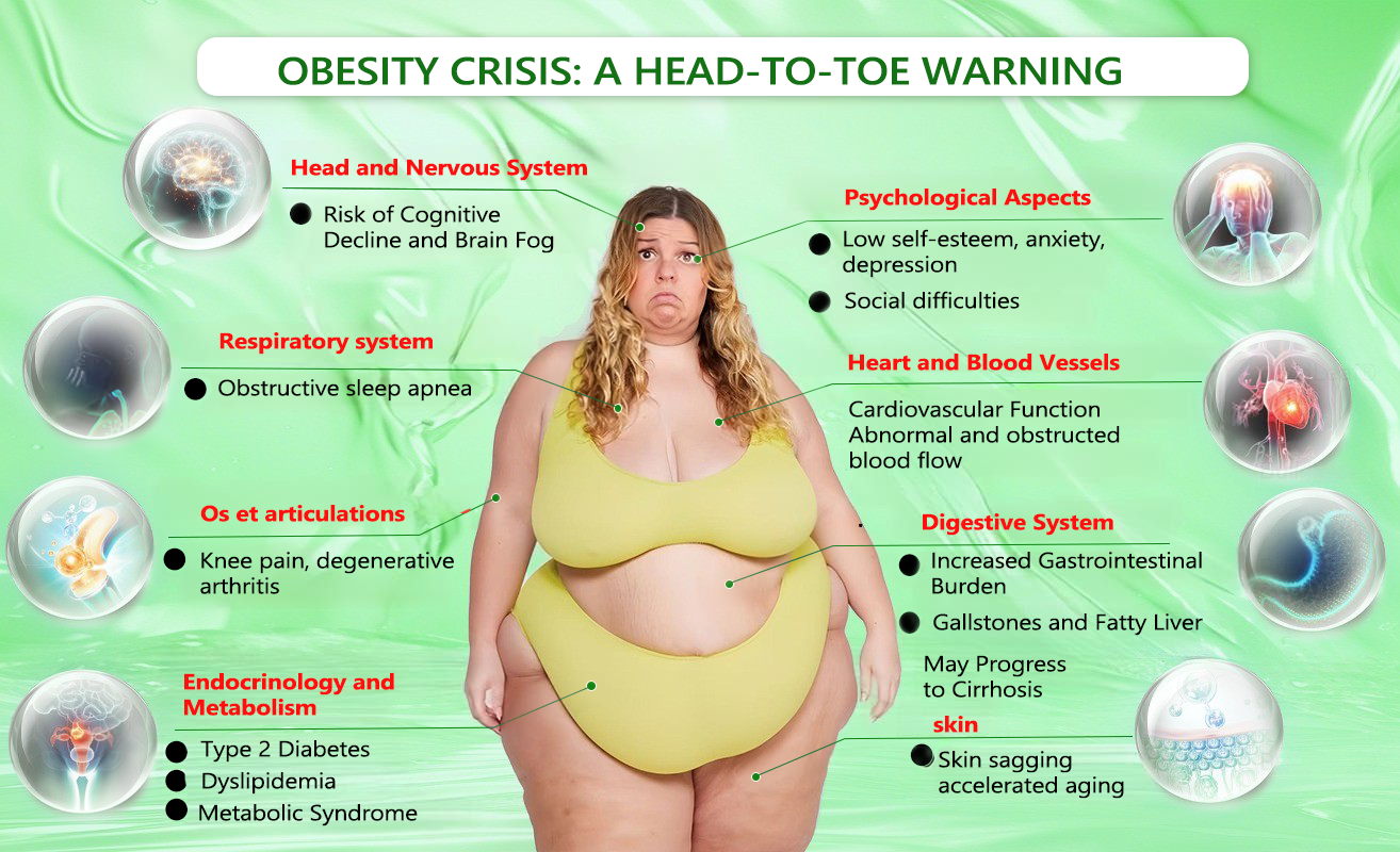 𝑪𝒂𝒏𝒂𝒅𝒂'𝒔 𝑫𝒐𝒄𝒕𝒐𝒓-𝑹𝒆𝒄𝒐𝒎𝒎𝒆𝒏𝒅𝒆𝒅 | 𝙇𝙤𝙩𝙢𝙖𝙮® 𝖦𝑳𝖯-1 𝑴𝒆𝒕𝒂𝒃𝒐𝒍𝒊𝒄 𝑩𝒂𝒍𝒂𝒏𝒄𝒆 𝑶𝒓𝒂𝒍 𝑨𝒎𝒑𝒐𝒖𝒍𝒆𝒔 –𝟏𝐱/𝐝𝐚𝐲, 𝐯𝐢𝐬𝐢𝐛𝐥𝐞 𝐫𝐞𝐬𝐮𝐥𝐭𝐬 𝐢𝐧 𝟕 𝐝𝐚𝐲𝐬 👑 𝐒𝐮𝐩𝐩𝐨𝐫𝐭𝐬 𝐰𝐞𝐢𝐠𝐡𝐭 𝐦𝐚𝐧𝐚𝐠𝐞𝐦𝐞𝐧𝐭, 𝐡𝐞𝐚𝐫𝐭 𝐡𝐞𝐚𝐥𝐭𝐡, 𝐝𝐢𝐚𝐛𝐞𝐭𝐞𝐬, 𝐬𝐥𝐞𝐞𝐩, 𝐝𝐢𝐠𝐞𝐬𝐭𝐢𝐨𝐧, 𝐚𝐧𝐝 𝐣𝐨𝐢𝐧𝐭 𝐡𝐞𝐚𝐥𝐭𝐡 🍃